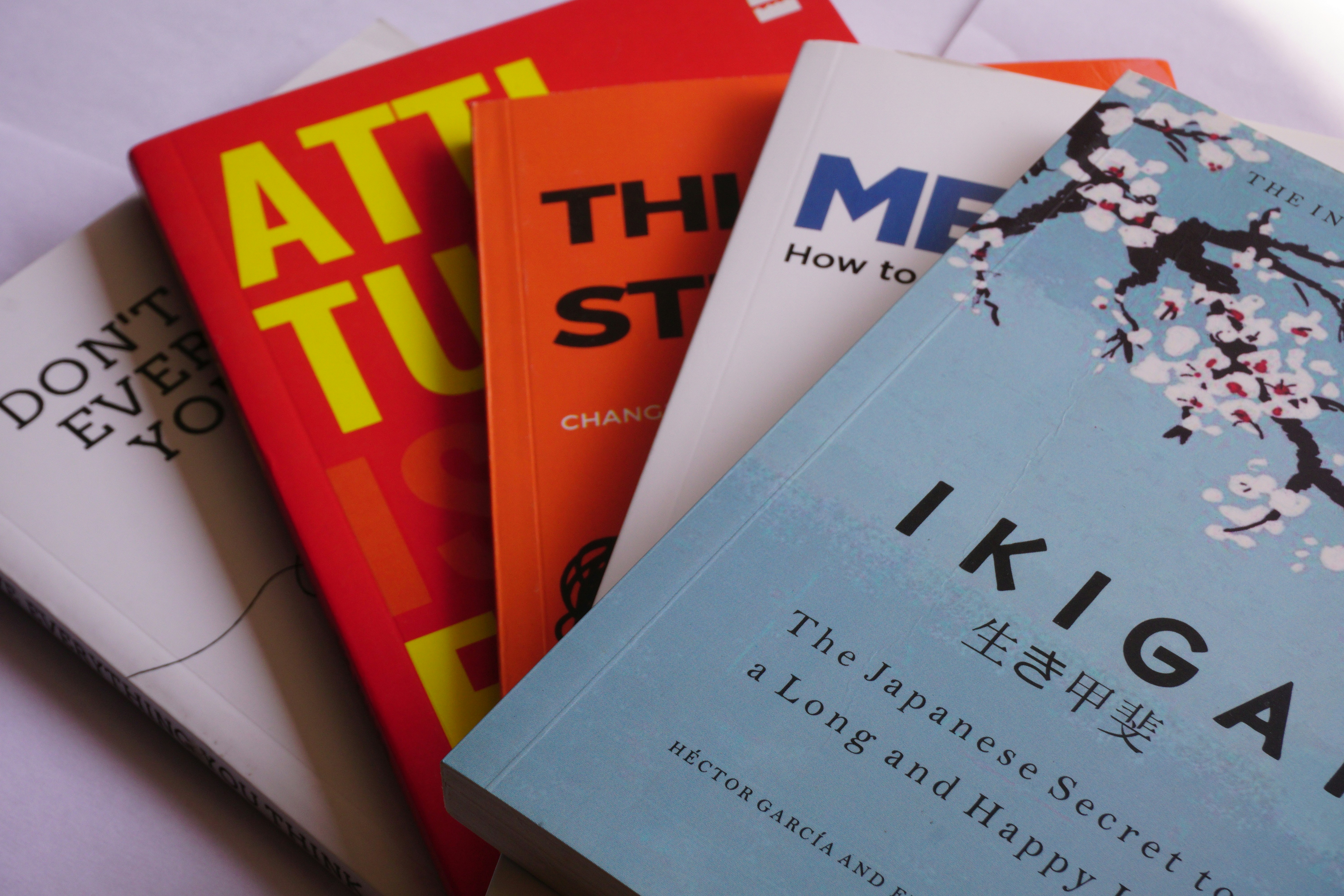 CEFR A1 × JLPT N5 コース